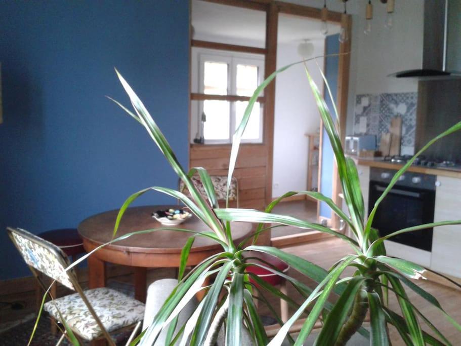 Logement Independant Colmar Luaran gambar