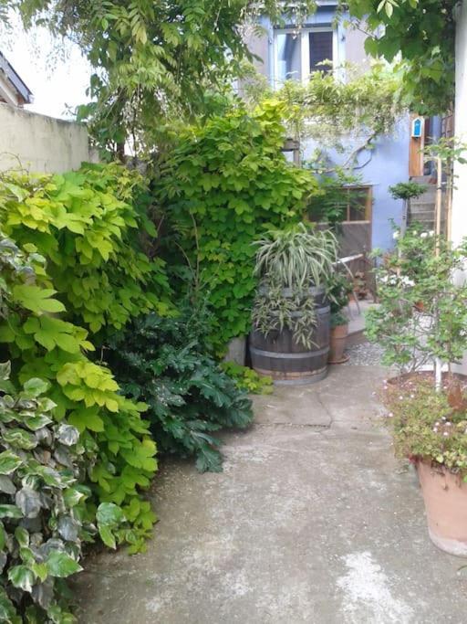 Logement Independant Colmar Luaran gambar